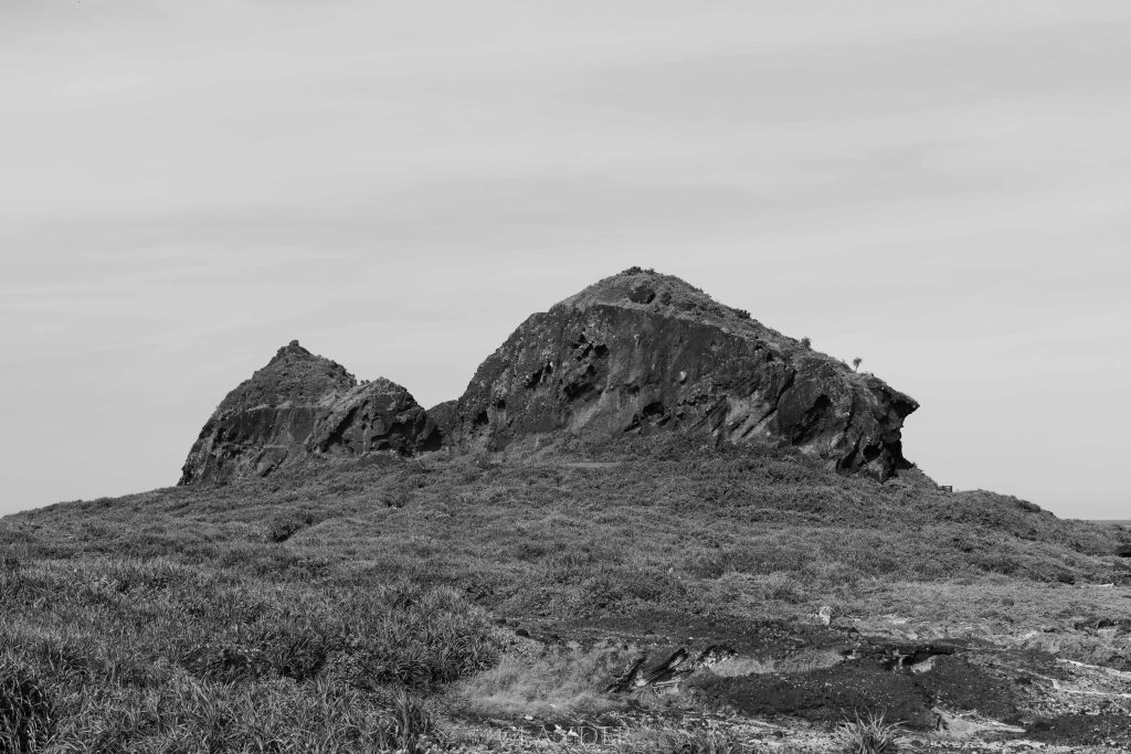 DSC01249